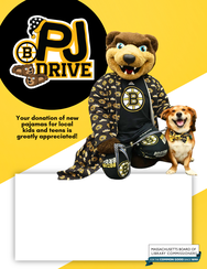 2026 Write-In PJ Drive Flyer (8.5x11")